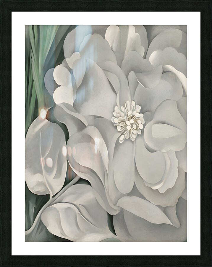 Georgia OKeeffe - The White Calico Flower .1931 Picture Frame print