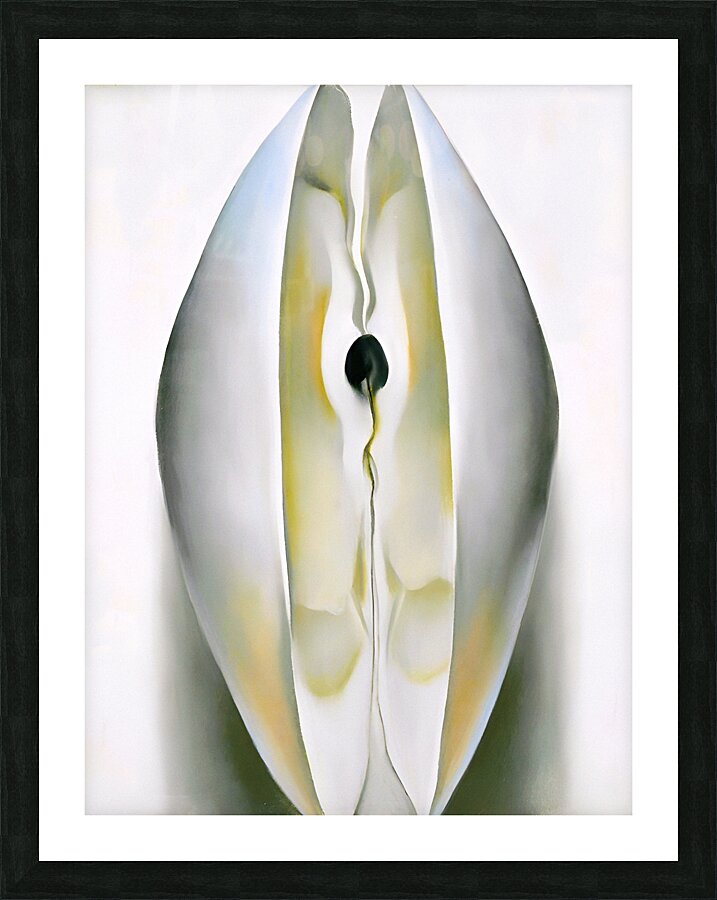 Georgia OKeeffe - Slightly Open Clam Shell 1926 Picture Frame print