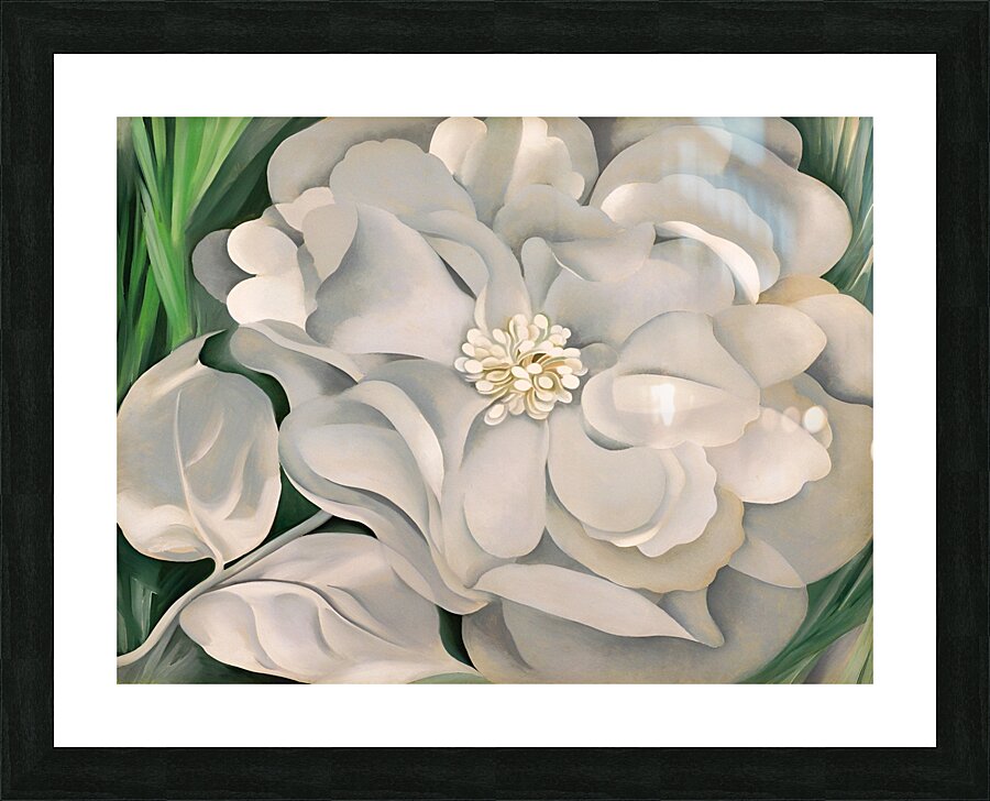 Georgia OKeeffe - The White Calico Flower  Picture Frame print