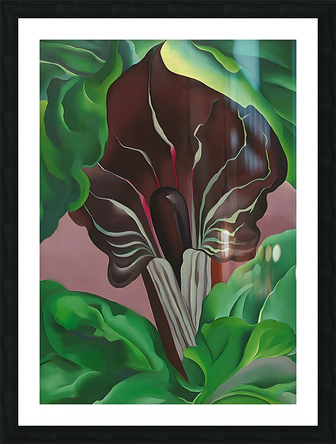 Georgia OKeeffe - Jack-in-Pulpit - No. 2 Picture Frame print