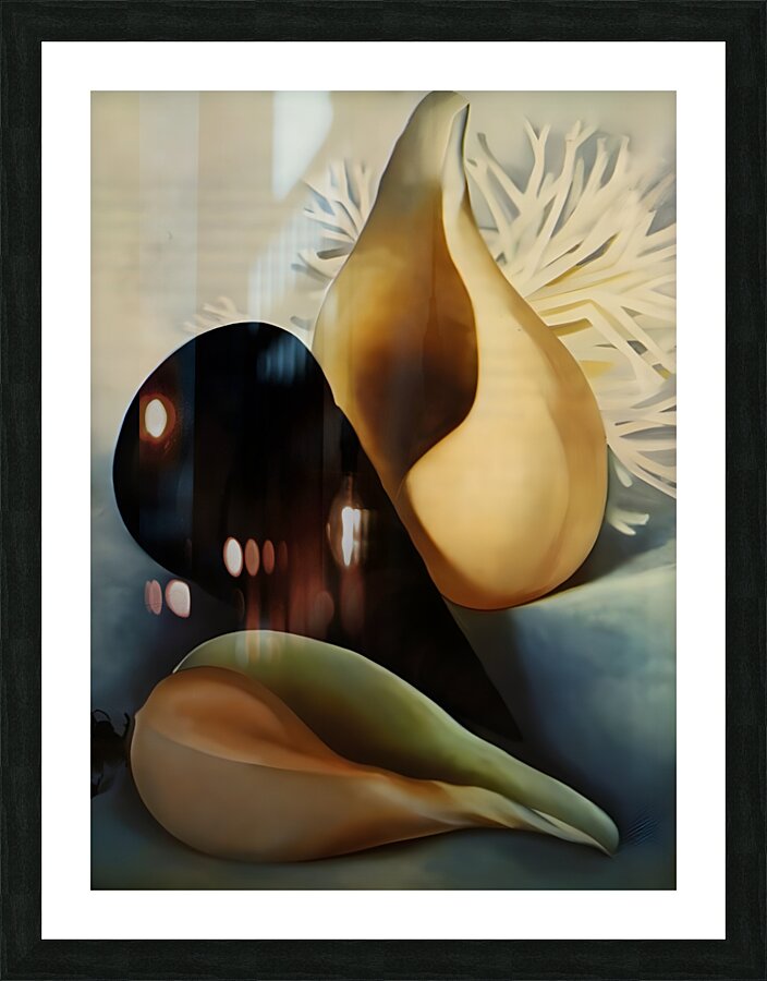 Georgia OKeeffe - Two White Shells One Black Shell Picture Frame print