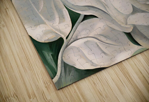 Georgia OKeeffe - The White Calico Flower  William Store puzzle