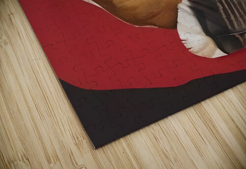 Georgia Okeeffe - Feather And Brown Leaf . A William Store puzzle