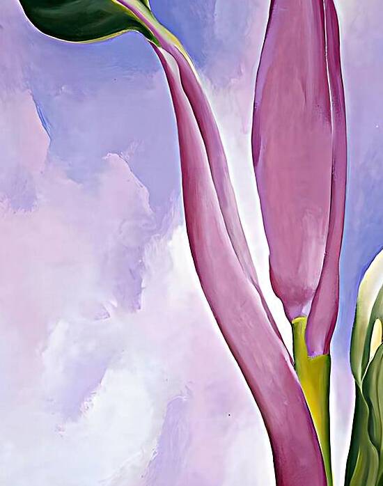 Georgia OKeeffe - Pink Ornamental Banana  by William Store