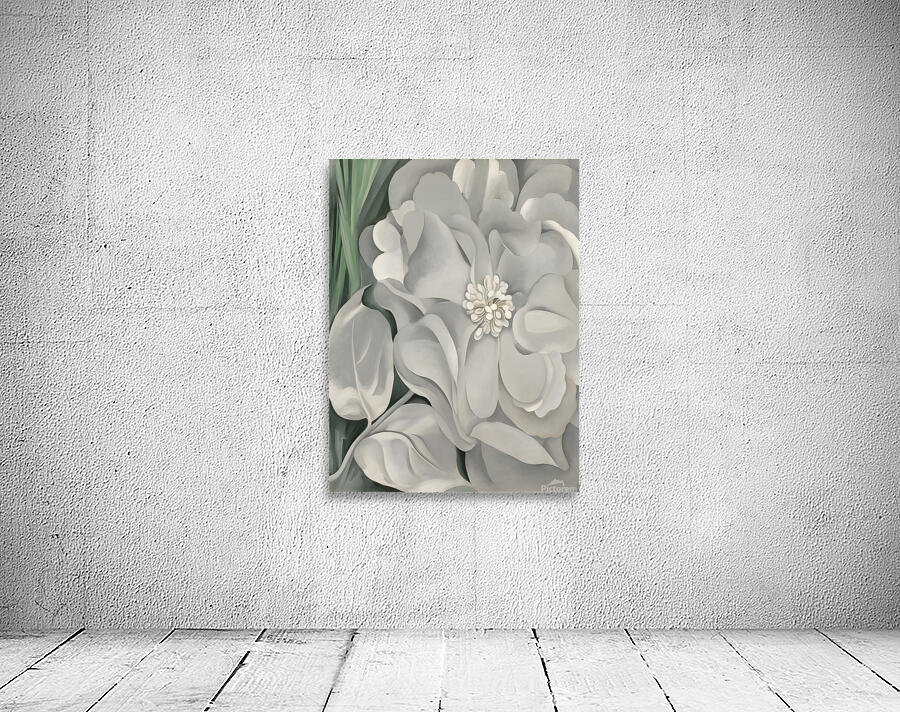 Georgia OKeeffe - The White Calico Flower .1931 Wall Preview
