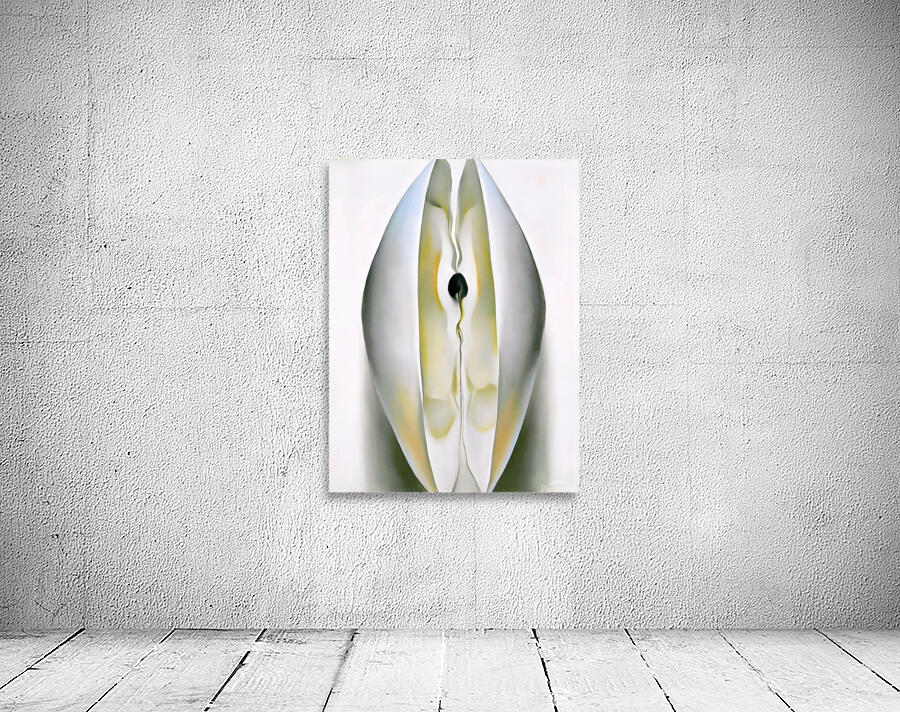 Georgia OKeeffe - Slightly Open Clam Shell 1926 Wall Preview