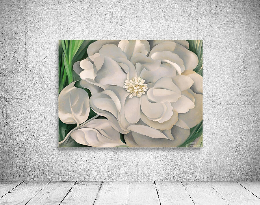 Georgia OKeeffe - The White Calico Flower  Wall Preview