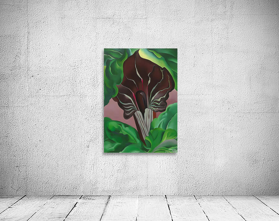 Georgia OKeeffe - Jack-in-Pulpit - No. 2 Wall Preview