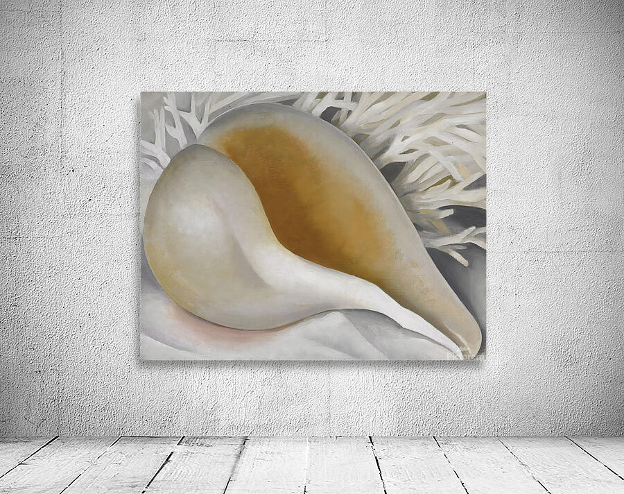  Georgia OKeeffe - Shell 1937  Wall Preview