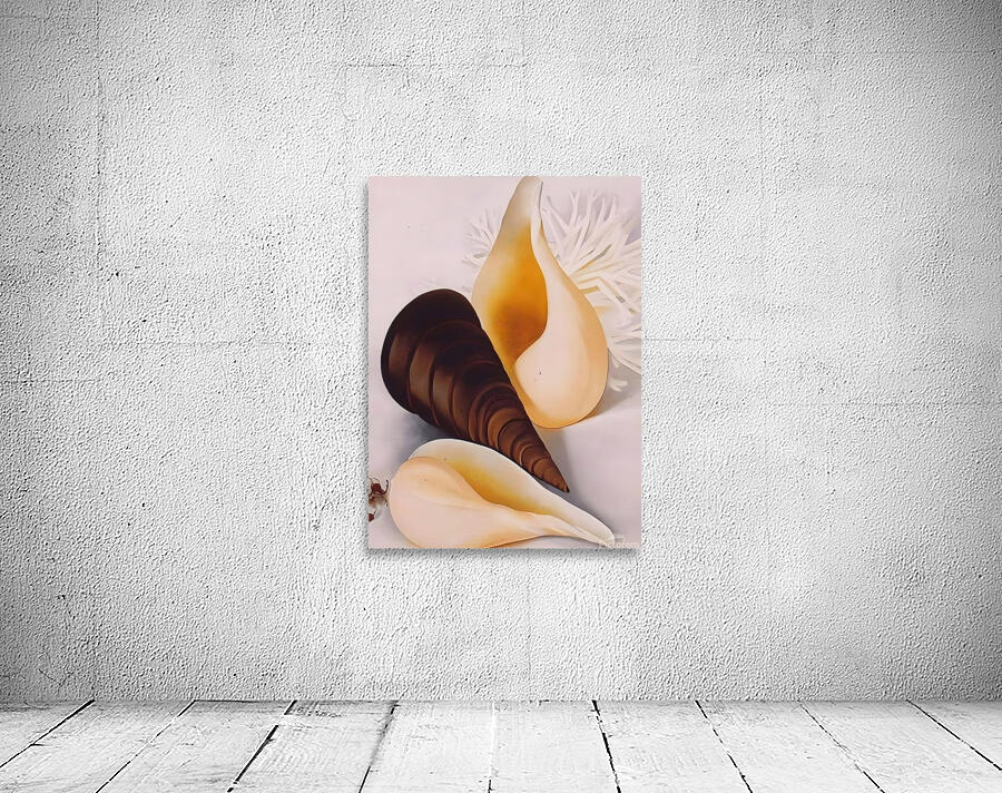 Georgia OKeeffe - Two White Shells One Black Shell Wall Preview