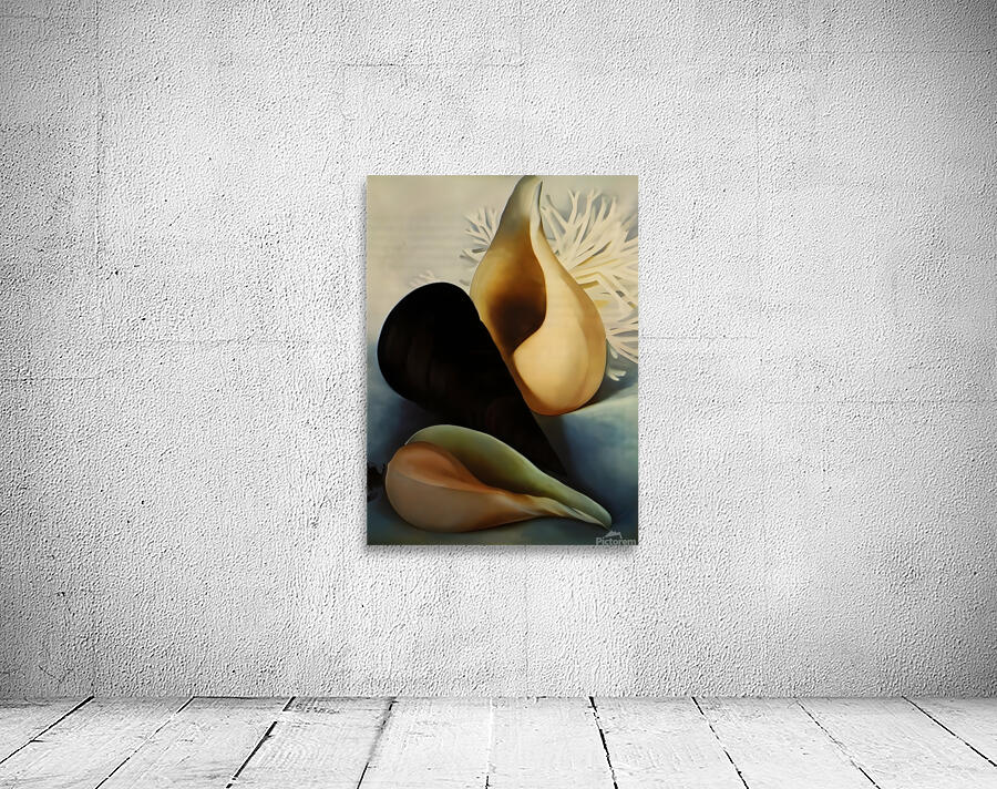Georgia OKeeffe - Two White Shells One Black Shell Wall Preview