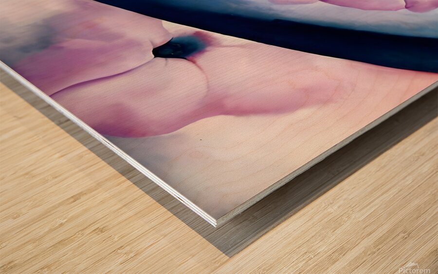 Georgia OKeeffe - Petunia II  Wood print