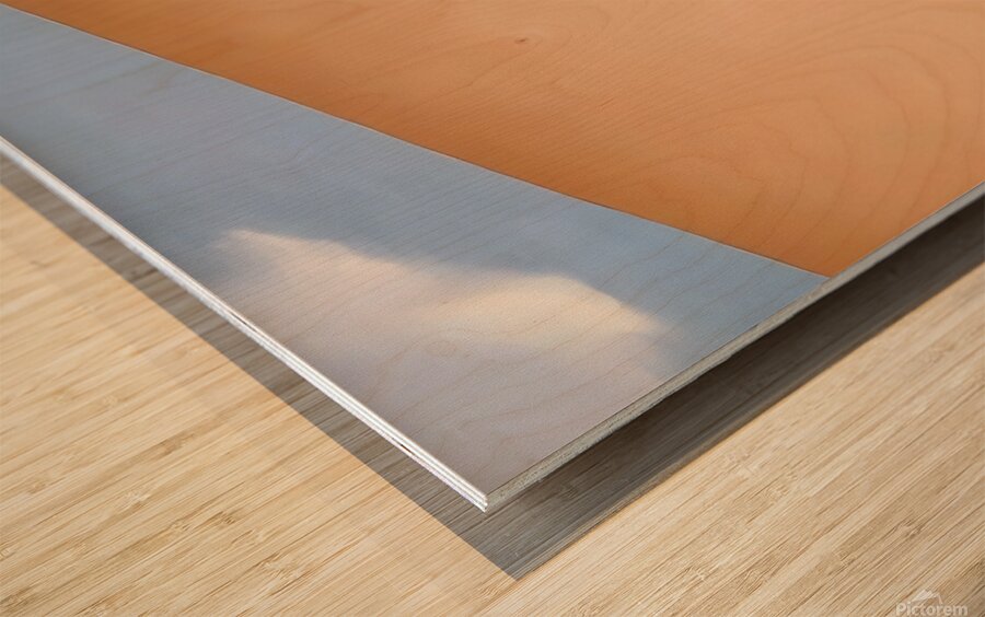 Georgia OKeeffe - Patio with Cloud 1956 Wood print