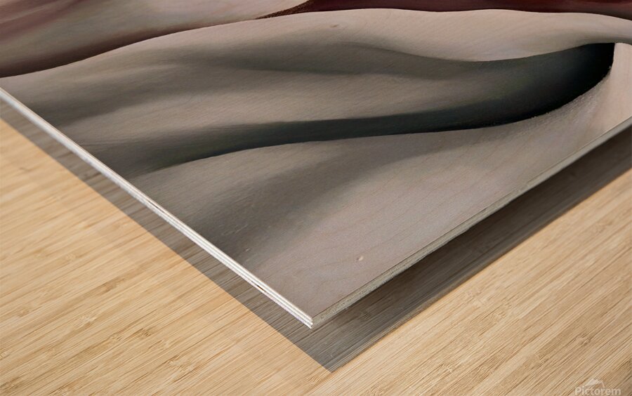 Georgia OKeeffe - Black Iris Wood print