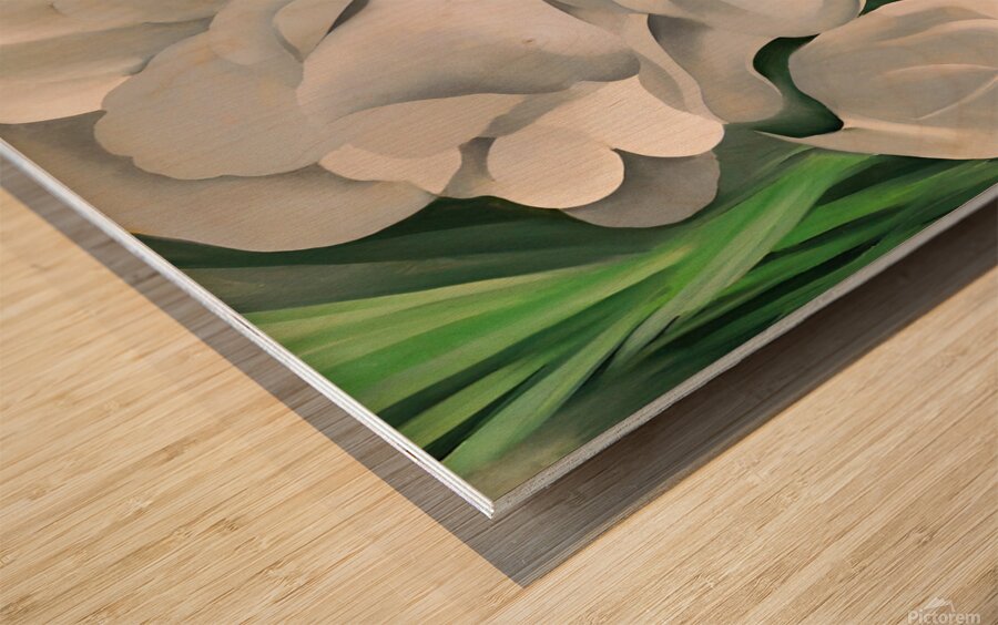 Georgia OKeeffe - The White Calico Flower  Wood print