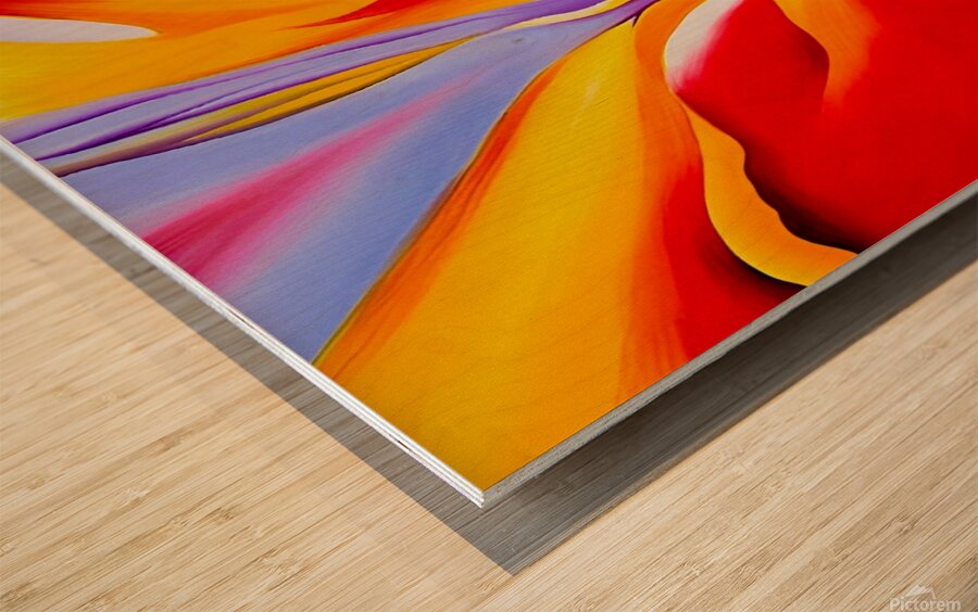 Georgia OKeeffe - Red Canna. 1924  Wood print