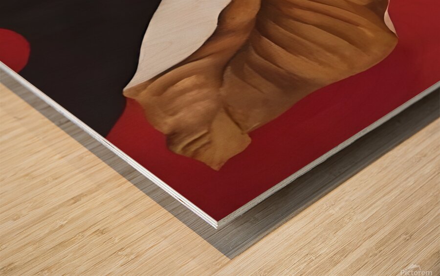 Georgia Okeeffe - Feather And Brown Leaf . A Wood print