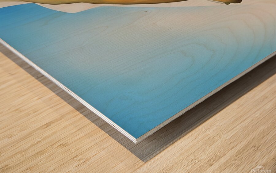  Georgia OKeeffe - Pelvis with the Distance Wood print