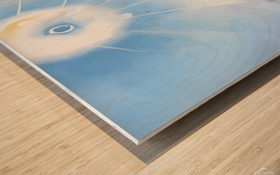 Georgia OKeeffe - East River No 1  Wood print