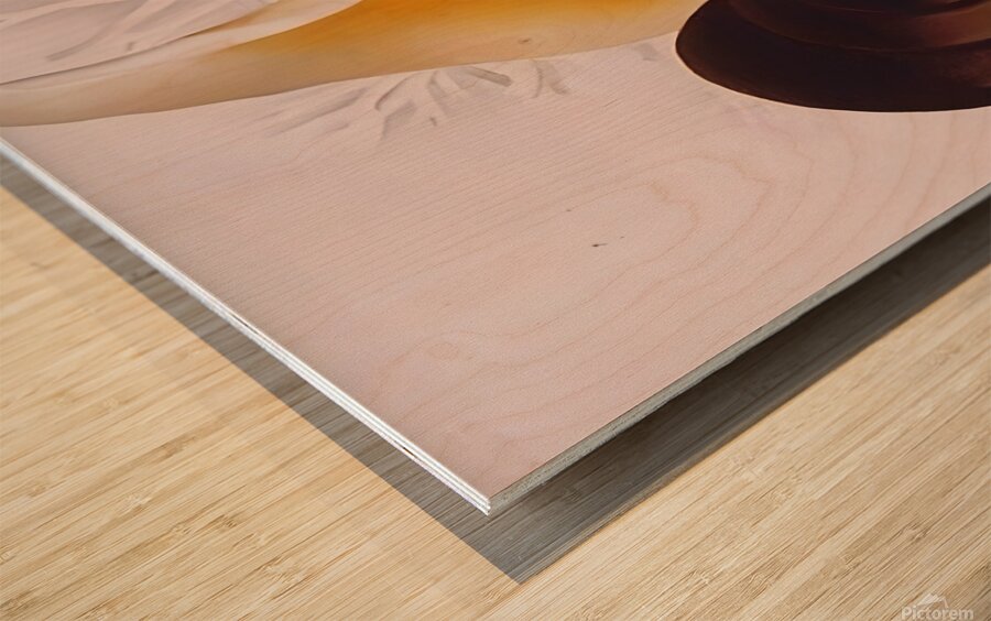 Georgia OKeeffe - Two White Shells One Black Shell Wood print