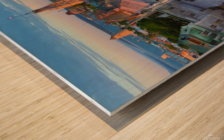 Les Parlementaires I Wood print