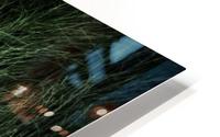 Unison with nature HD Metal print