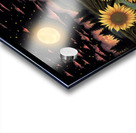Radiant Sunflower Acrylic print