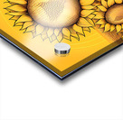Sunflower Garden Acrylic print