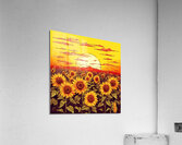 Sunflower field at sunset Acrylic Print