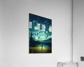 Starry Night Acrylic Print