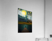 Starry Night Acrylic Print