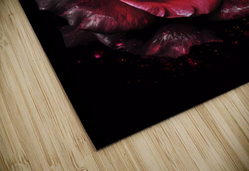 Red Rose Elegance Win Hardy puzzle