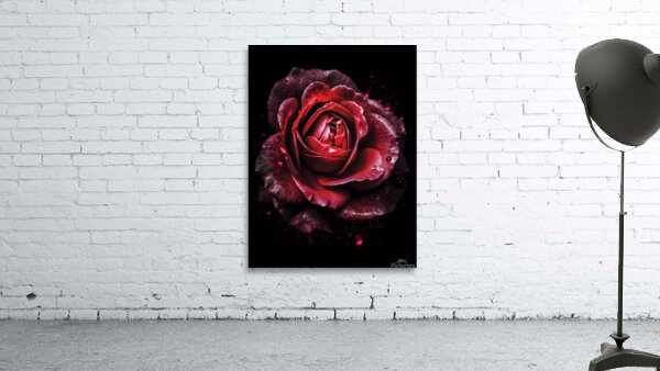 Red Rose Elegance Wall Preview
