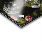 Rose in her garden Acrylic print