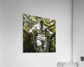 Tied to Nature Acrylic Print