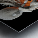 Phoenix Queen Metal print