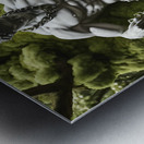 Tied to Nature Metal print