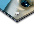 Ex·​tra·​ter·​res·​tri·​al Impression Acrylique