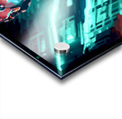 Elevate Acrylic print