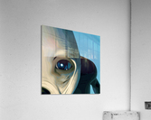 Ex·​tra·​ter·​res·​tri·​al Impression acrylique