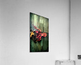 Relinquishes Acrylic Print