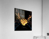 Lugubrious Acrylic Print