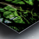 Terraqueous Metal print