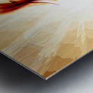 Peripatetic Metal print