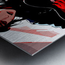 Minstrel Metal print