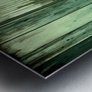 Relinquishes Metal print