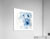 Blue flowers  Acrylic Print