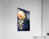 Full Moon Acrylic Print