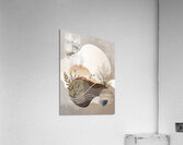 ArtsyNeutrals 3 Acrylic Print