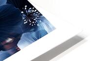Blue  Flower  HD Metal print